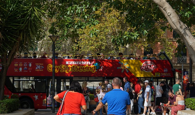 hop-on-hop-off bus your malaga