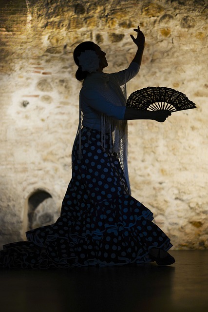 Flamenco show malaga
