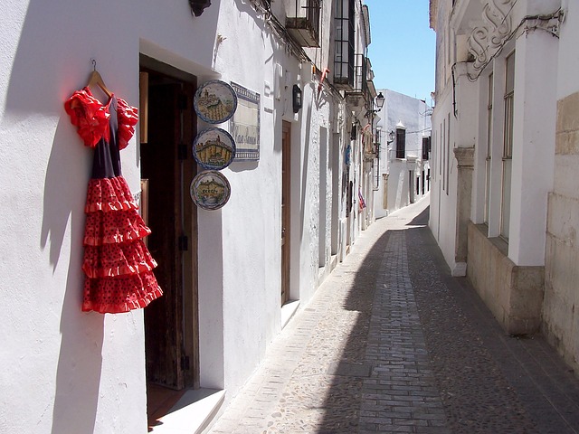 Flamenco show